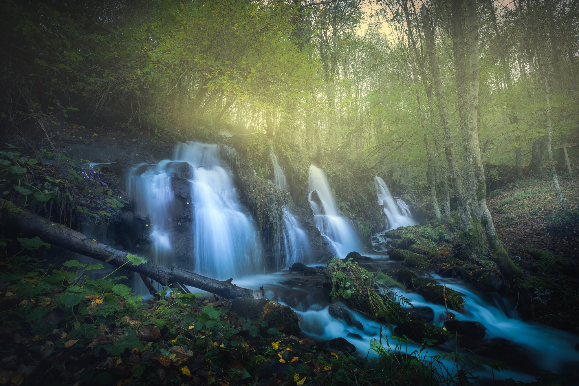 _MG_9808 _MG_9808